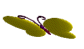 BFly